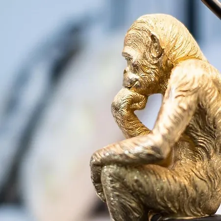 Entire 1 Minute From The Historical Center דירה